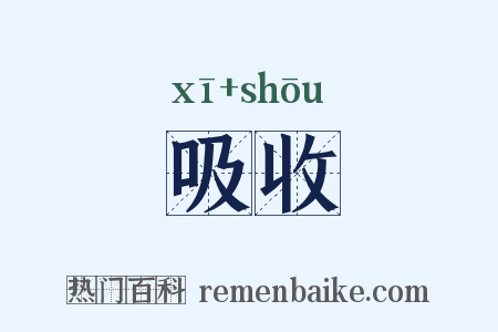 吸收是什么意思的图片